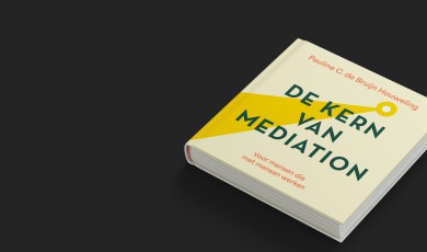 De Kern van Mediation